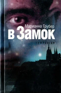 Марианна Грубер В Замок обложка книги