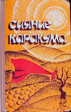 Курбандурды Курбансахатов Сияние Каракума (сборник) обложка книги