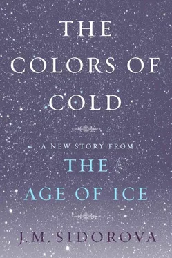 J. Sidorova The Colors of Cold обложка книги
