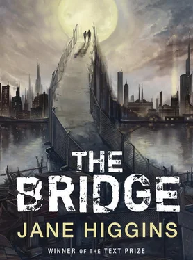 Jane Higgins The Bridge обложка книги