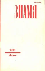 Дмитрий Витковский - Полжизни
