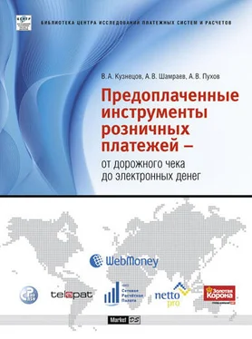 Андрей Шамраев Предоплаченные инструменты розничных платежей – от дорожного чека до электронных денег обложка книги