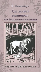 Виталий Танасийчук - Где живет единорог