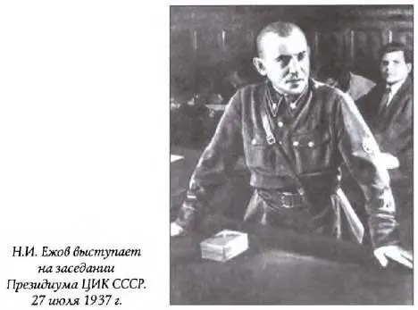 Разгадка 1937 года - фото 15