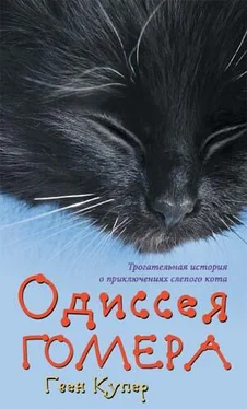 Гвен Купер Одиссея Гомера обложка книги