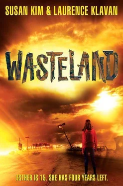 Susan Kim Wasteland обложка книги