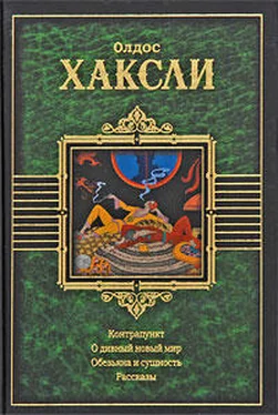 Олдос Хаксли Баночка румян обложка книги