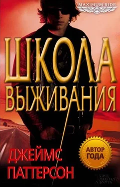 Джеймс Паттерсон Школа выживания обложка книги