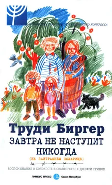 Труди Биргер Завтра не наступит никогда (на завтрашнем пожарище) обложка книги