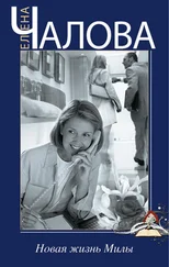 Елена Чалова - Новая жизнь Милы