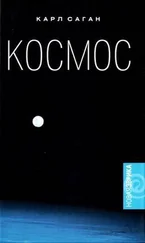 Карл Саган - Космос - Эволюция Вселенной, жизни и цивилизации