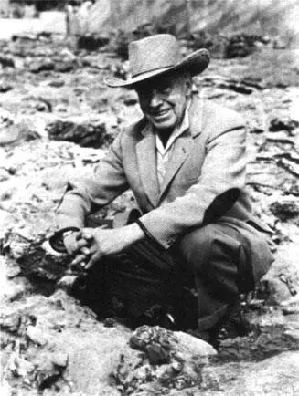 Реймонд Дарт Когда в 1924 году я определил таунгскую окаменелость - фото 88