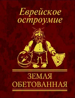 Юлия Белочкина Еврейское остроумие. Земля обетованная обложка книги