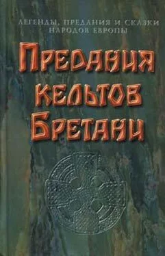 Неизвестный Автор Предания кельтов Бретани обложка книги