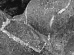 Chalk lines have been scrawled over the womans body an attempt to erase them - фото 8