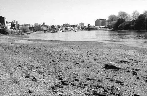 This scrap of beach by the Thames is revealed as the tide ebbs A woman - фото 9