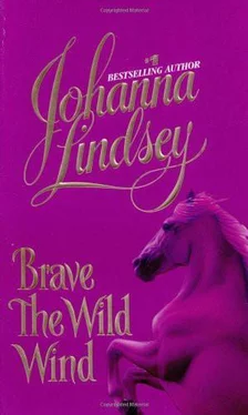 Johanna Lindsey Brave the Wild Wind обложка книги