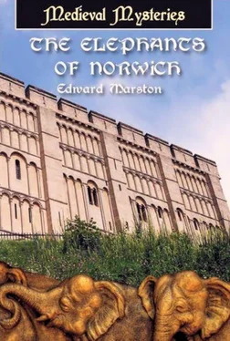 Edward Marston The Elephants of Norwich обложка книги