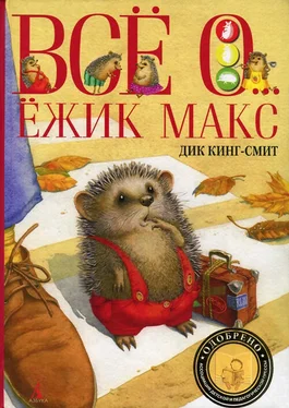 Дик Кинг-Смит Школьная мышь обложка книги