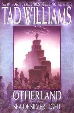 Тед Уильямс Море серебряного света обложка книги