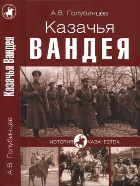 Александр Голубинцев Казачья Вандея обложка книги