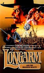 Tabor Evans - Longarm and The Branded Beauty