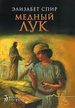 Элизабет Спир Медный лук обложка книги