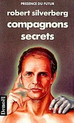 Robert Silverberg - La compagne secrete
