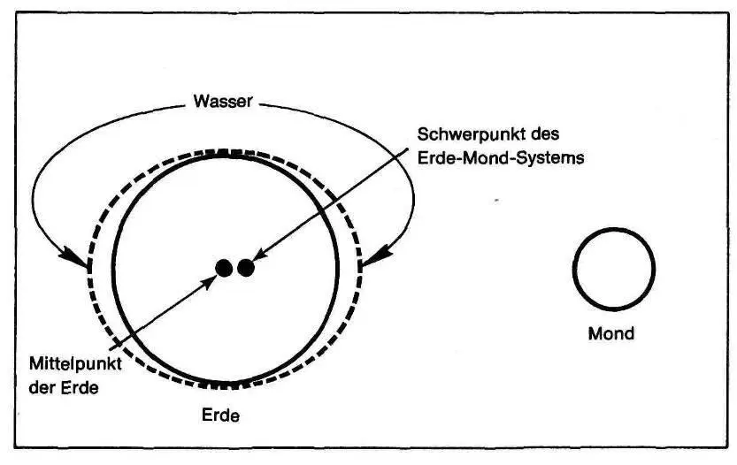 Die beiden Flutberge Die Entfernung des Mondes von der Erde ist im Verhältnis - фото 45