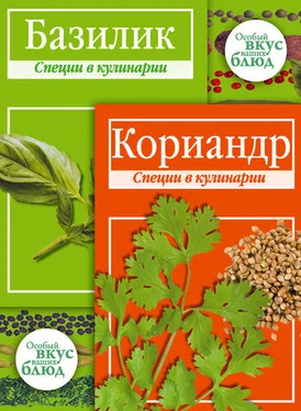 В. Кугаевский Кориандр. Базилик: Специи в кулинарии обложка книги