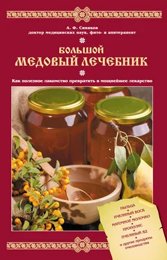 Алексей Синяков Большой медовый лечебник обложка книги
