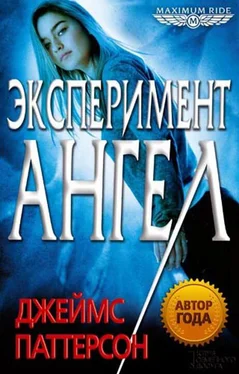 Джеймс Паттерсон Эксперимент «Ангел» обложка книги