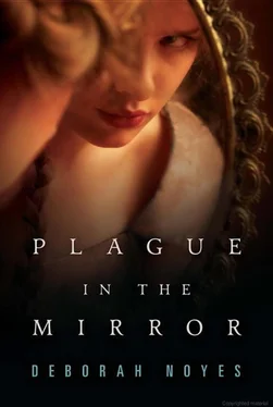 Deborah Noyes Plague in the Mirror обложка книги