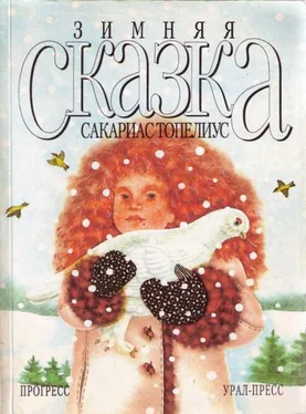 Сакариас Топелиус Зимняя сказка (сборник) обложка книги