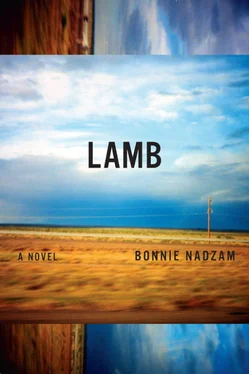 Bonnie Nadzam Lamb обложка книги