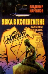 Владимир Мартынов - Явка в Копенгагене - Записки нелегала