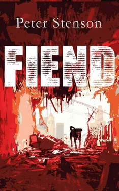 Peter Stenson Fiend обложка книги
