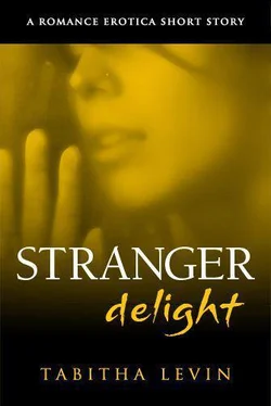 Tabitha Levin Stranger Delight обложка книги