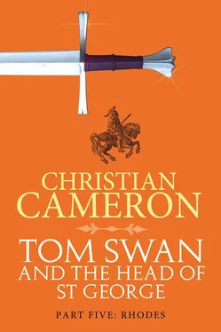 Christian Cameron Tom Swan and the Head of St. George Part Five: Rhodes