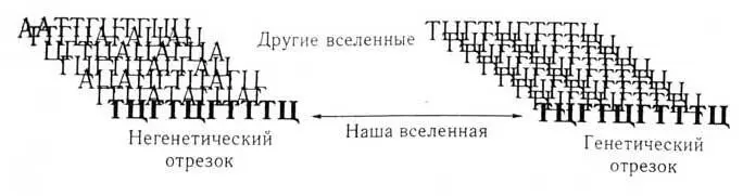 Рис 81 Взгляд из мультиверса на два отрезка ДНК которые оказываются - фото 16