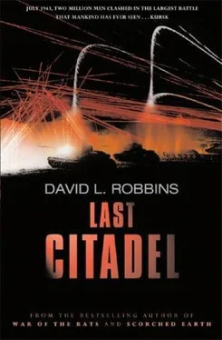 David Robbins Last Citadel обложка книги