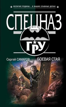 Сергей Самаров Боевая стая обложка книги