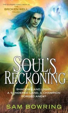 Sam Bowring Soul's Reckoning обложка книги