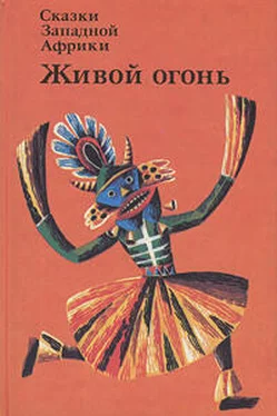 Неизвестный Автор Сказки Западной Африки. Живой огонь обложка книги