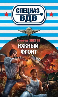 Сергей Зверев Южный фронт обложка книги