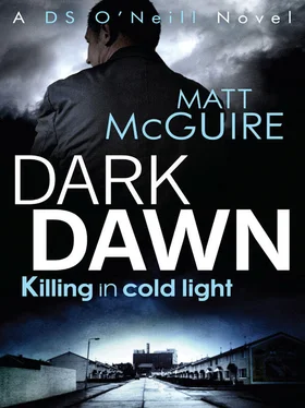 Matt McGuire Dark Dawn обложка книги