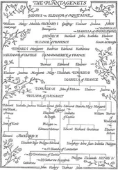 Виктория Холт - Passage to Pontefract