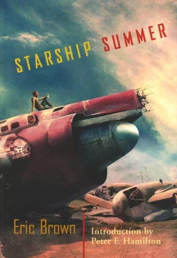 Eric Brown Starship Summer обложка книги