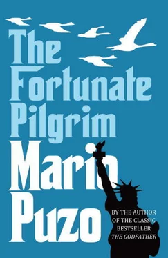 Mario Puzo The Fortunate Pilgrim обложка книги