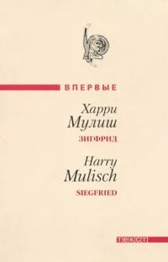 Харри Мулиш Зигфрид обложка книги